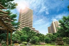 建物